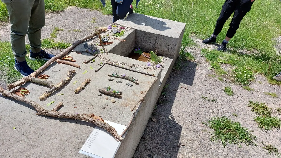 Ein aus Ästen und Naturmaterialien gelegtes Land-Art-Bild im Freien.