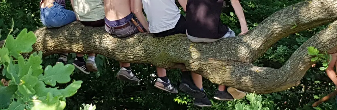 Jugendliche sitzen nebeneinander auf einem dicken Ast im Wald.