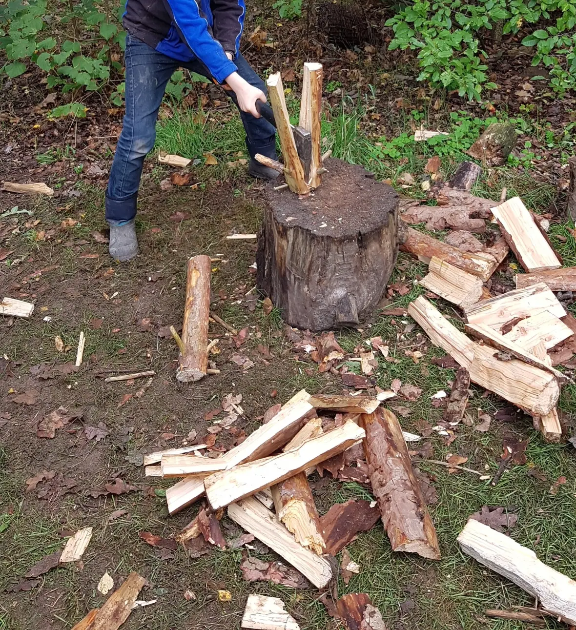 Ein Kind spaltet Brennholz mit einem Beil auf einem Hackklotz im Wald.