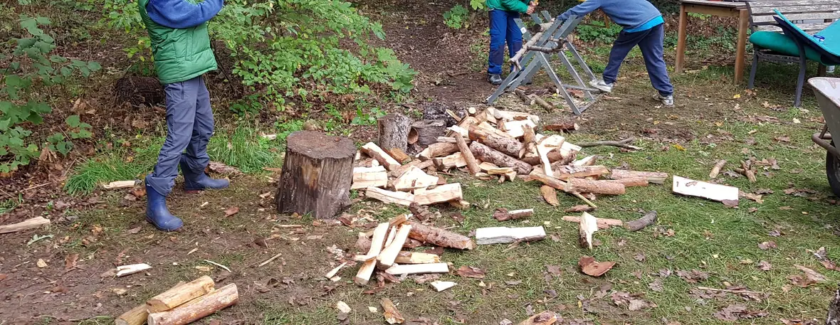 Kinder sägen und stapeln Brennholz am Waldplatz.