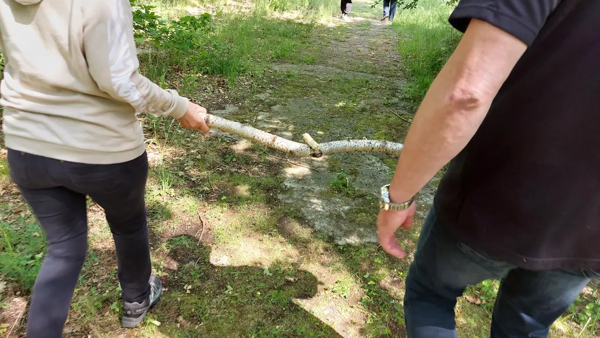 Zwei Menschen tragen gemeinsam einen Birkenstamm über einen Waldweg.