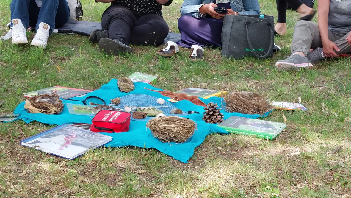 Ein Tuch auf der Wiese mit gesammelten Naturmaterialien, Zapfen und Steinen.