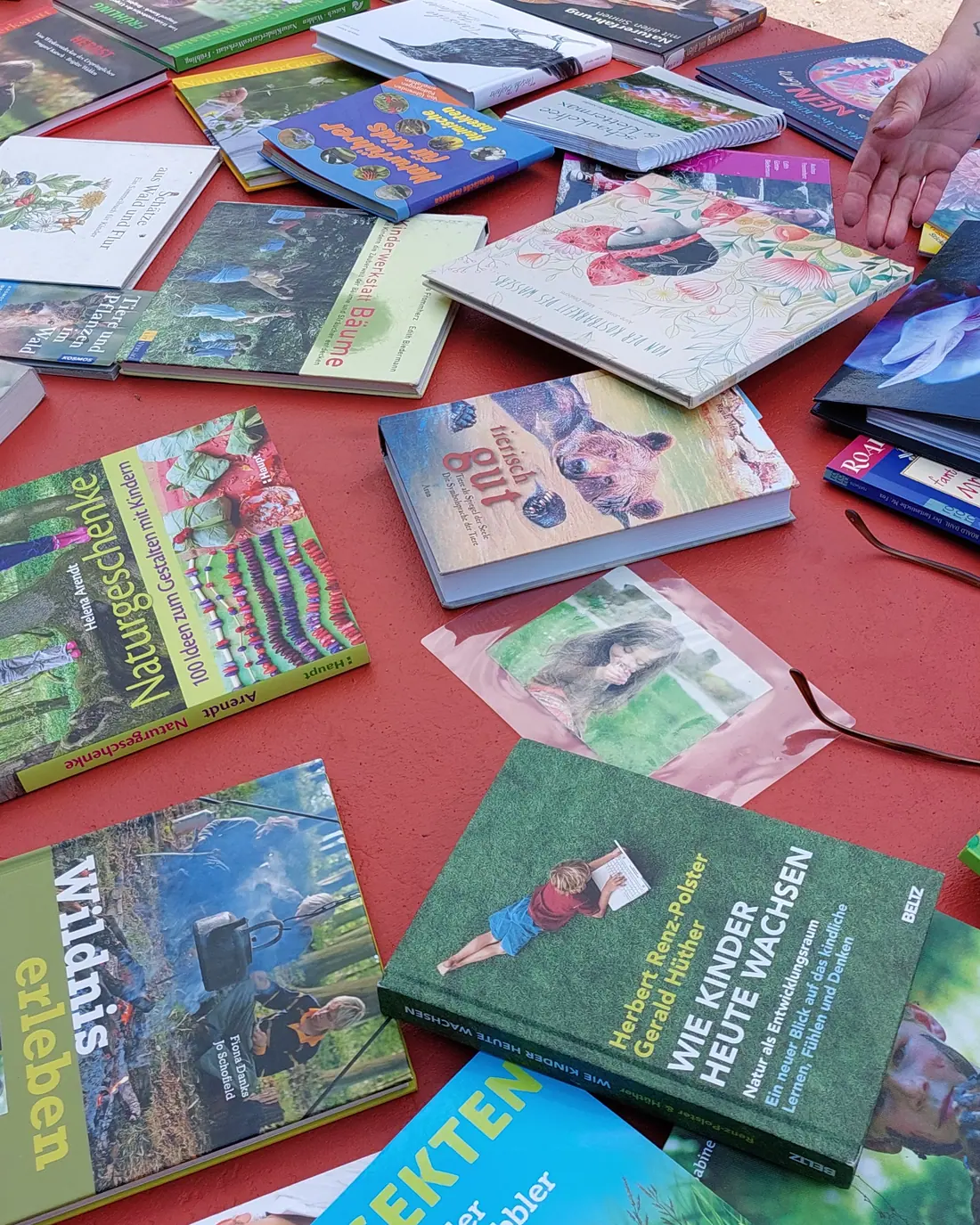 Natur- und Wildnispädagogik-Bücher und Materialien auf einem Tisch.